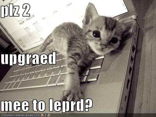 funny-pictures-kitten-macbook-leopard.jpg